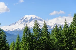 Header-Testimonials-PierceCounty